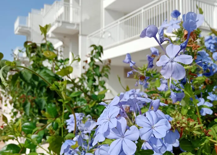 Color Dream Residence