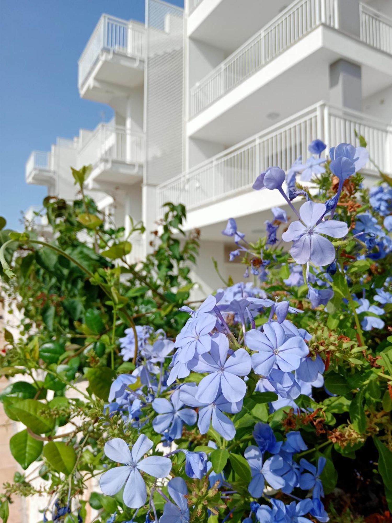 Color Dream Case Vacanze Monopoli