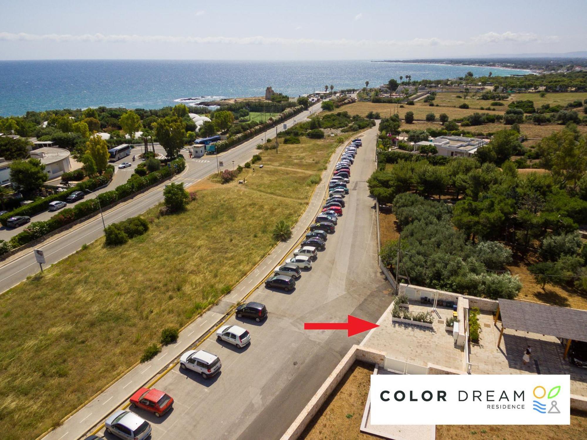Color Dream * Monopoli
